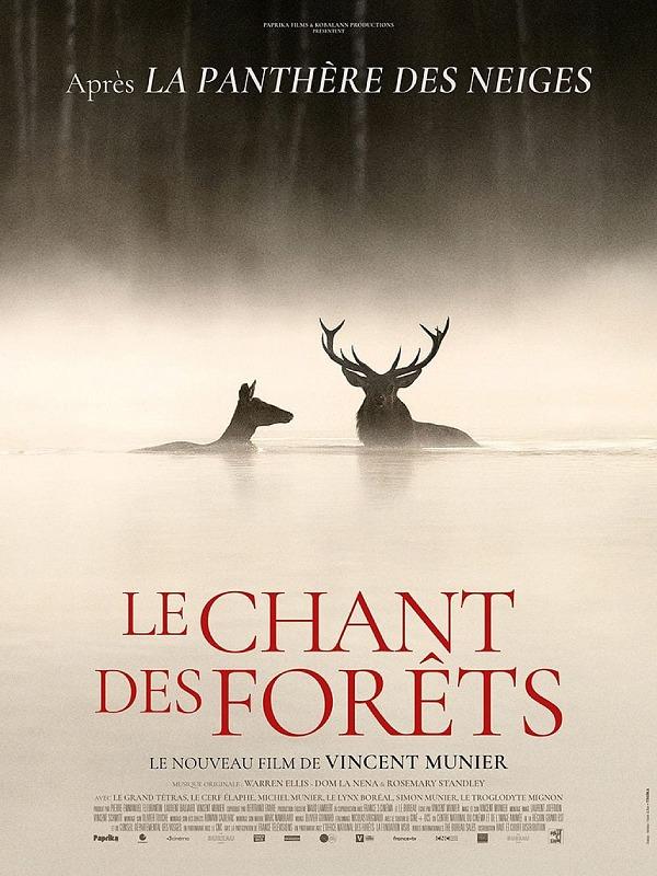 Cinéma à l'auditoire de Joinville "Le chant des forêts"
