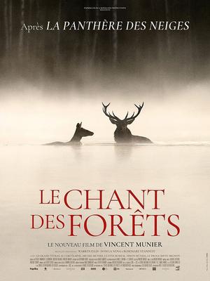 Cinéma à l'auditoire de Joinville "Le chant des forêts"