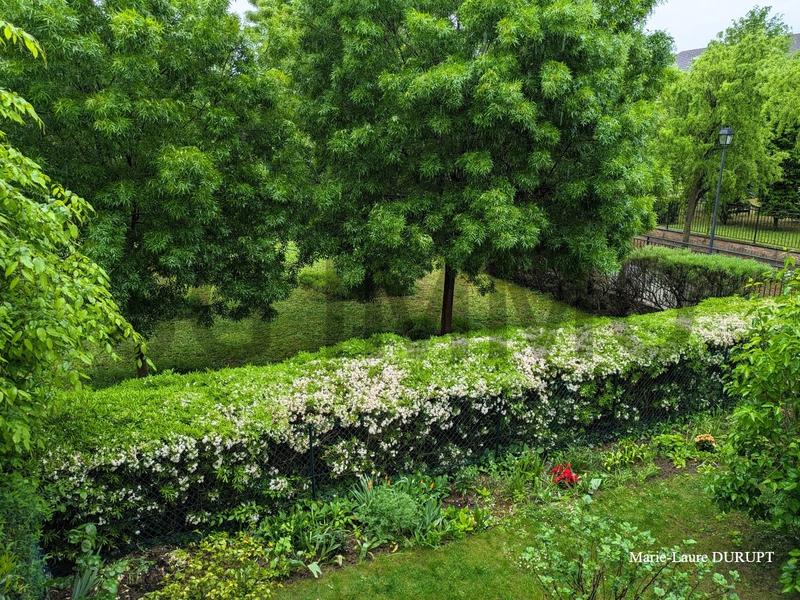 Appartement - 76 m² - 4 pièces