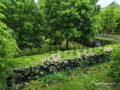 Appartement - 76 m² - 4 pièces