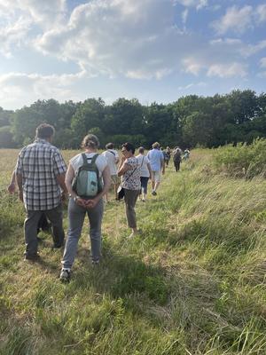Cherchons la p'tite bête dans le Marais de Chavannes