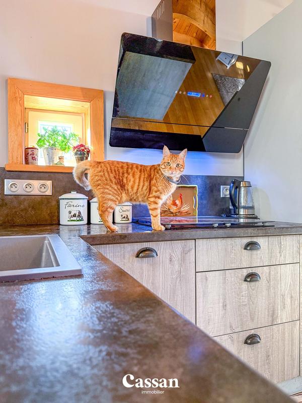 Maison ancienne - 150 m² - 5 pièces