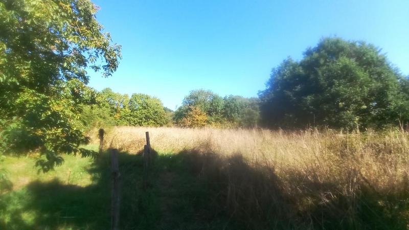 Maison en pierre - 105 m² - 5 pièces