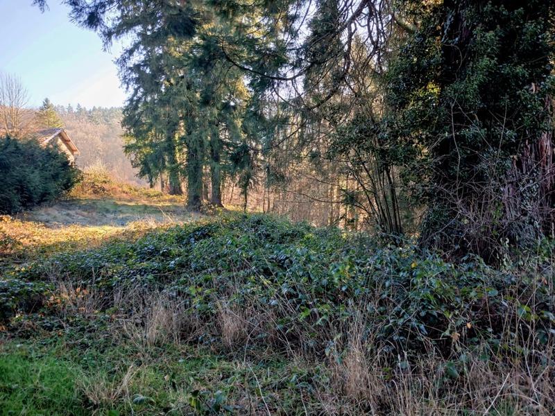 Terrain constructible - 3 574 m²