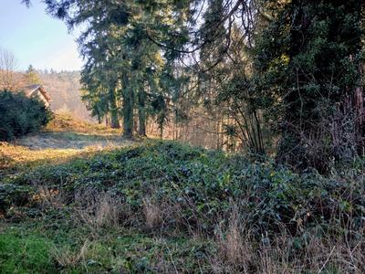 Terrain constructible - 3 574 m²