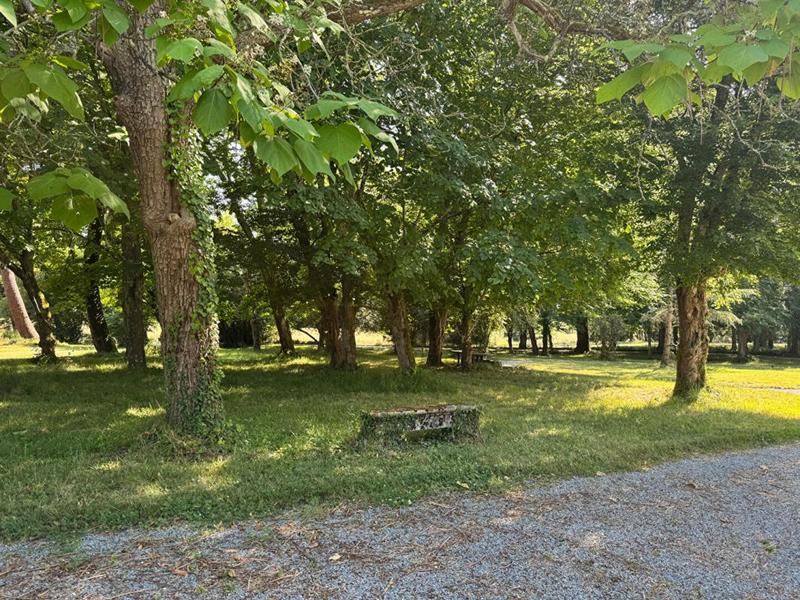 Propriété - 320 m² - 10 pièces