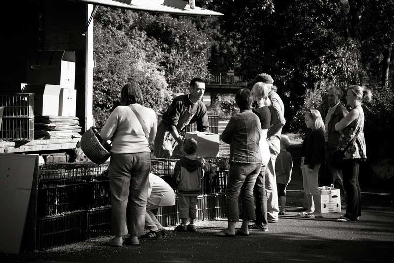 Marché mardi matin à Loué