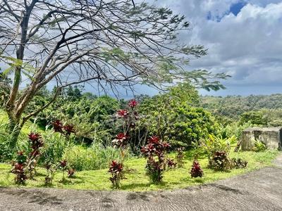 Immeuble - 394 m² - 12 pièces