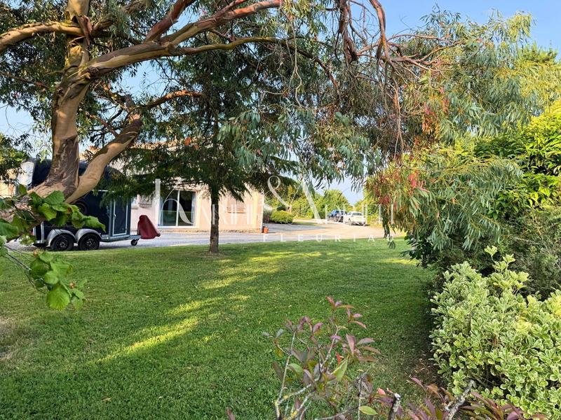 Maison - 216 m² - 7 pièces