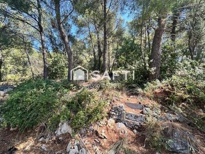 Maison - 170 m² - 5 pièces