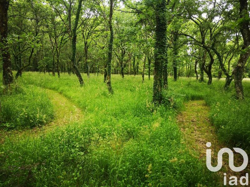 Maison - 230 m² - 7 pièces