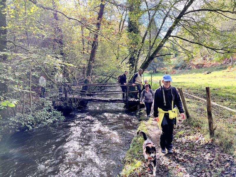 4ème Rando de la châtaigne : la via de las chastenhas