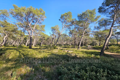 Terrain - 14 830 m²