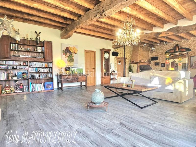 Maison en pierre - 215 m² - 7 pièces