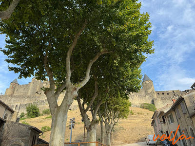 Local commercial - 37 m²