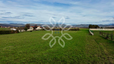 Terrain - 3 989 m²