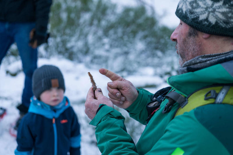 Sorties pédestres - P'tit trappeur