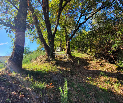 Terrain constructible - 785 m²