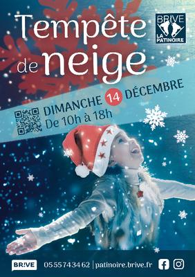 Tempête de neige (Patinoire)