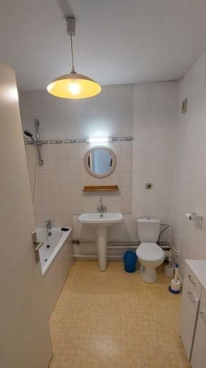 Studio - 25 m² - 1 pièce