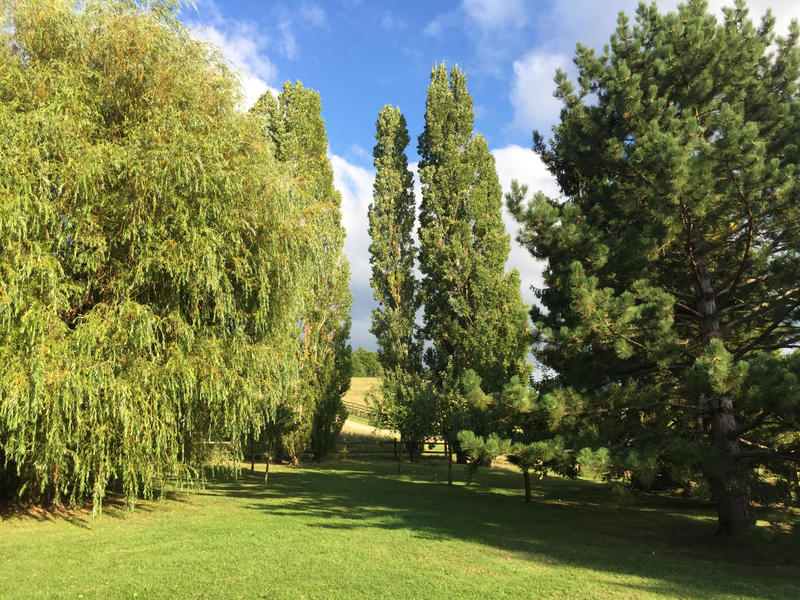 Maison - 185 m² - 7 pièces