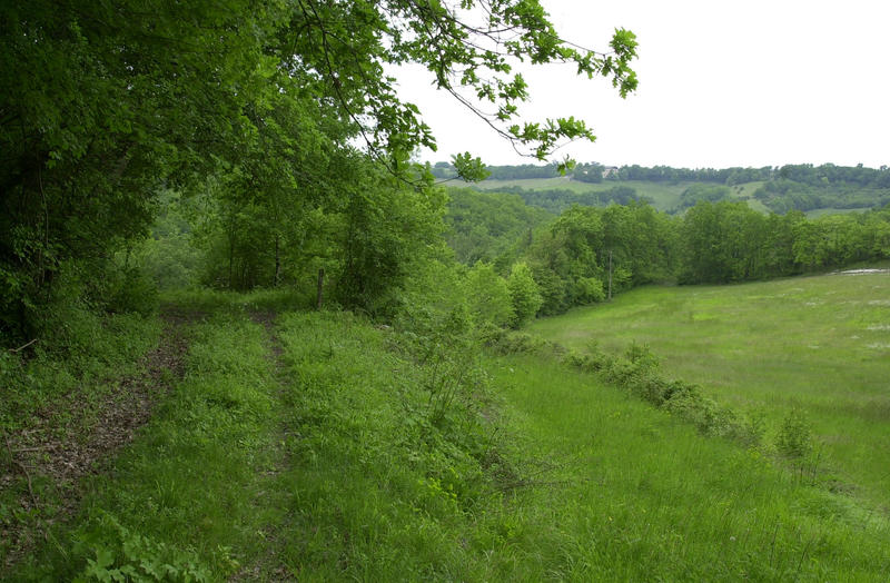 Terrain agricole - 220 000 m²