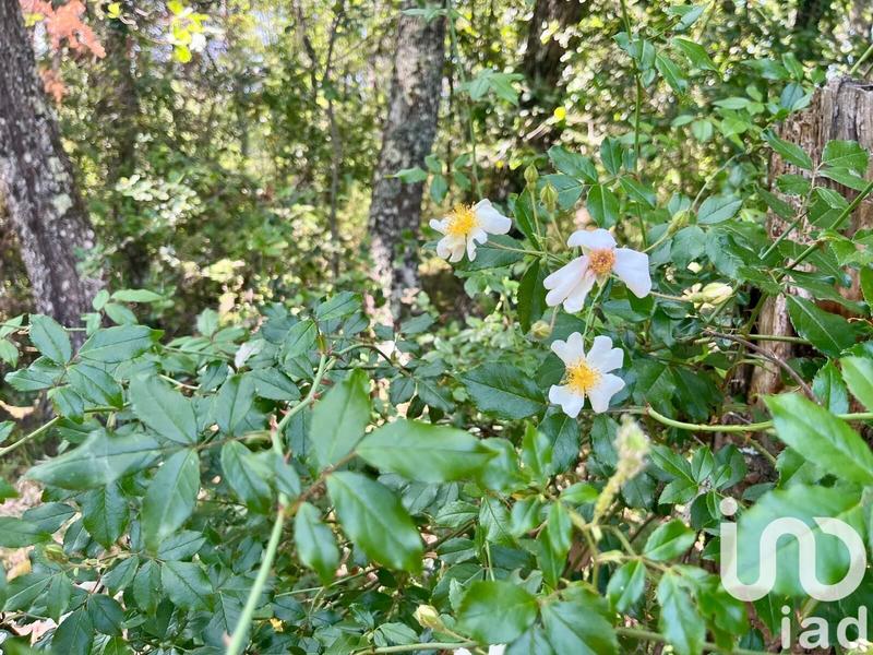 Terrain agricole - 12 527 m²