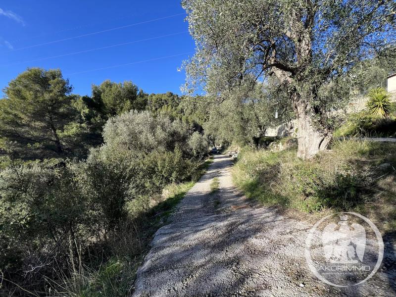 Terrain constructible - 1 518 m²