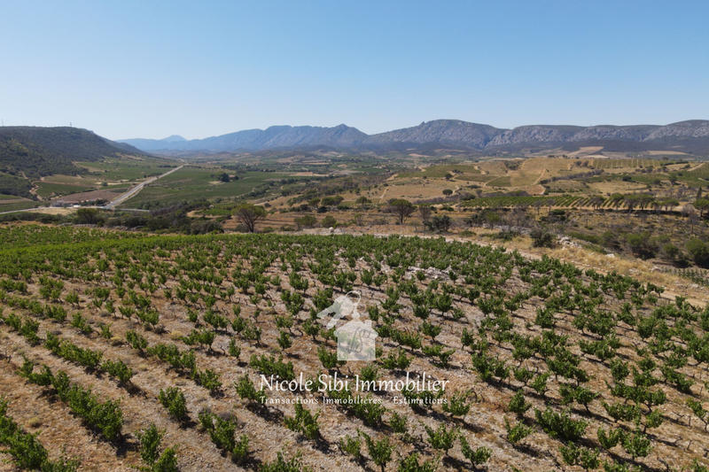 Terrain agricole - 30 000 m²