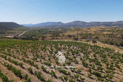 Terrain agricole - 30 000 m²