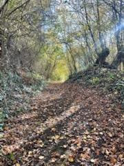 Maison - 266 m² - 6 pièces