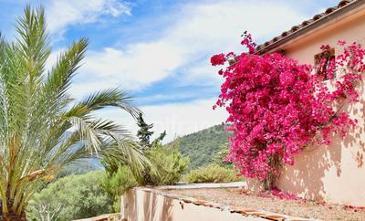 Maison - 89 m² - 3 pièces