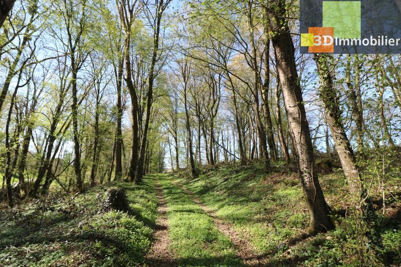 Maison - 500 m² - 11 pièces