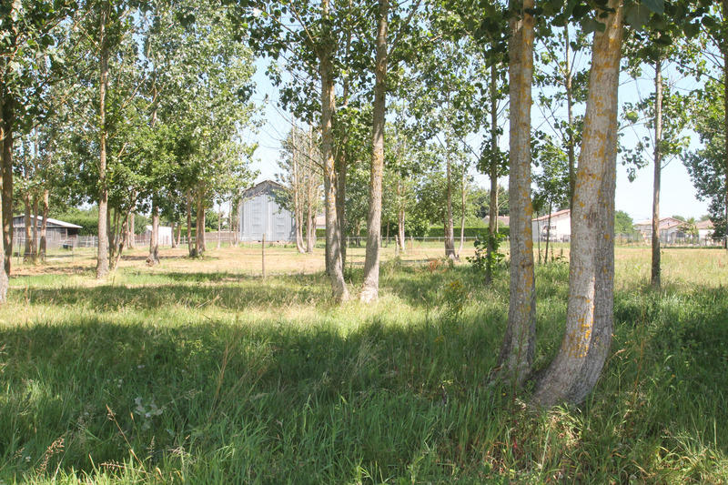 Grange - 83 m² - 1 pièce