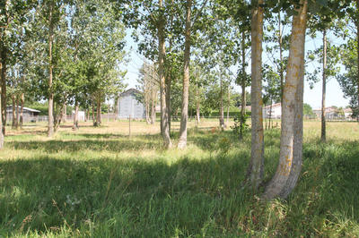 Grange - 83 m² - 1 pièce