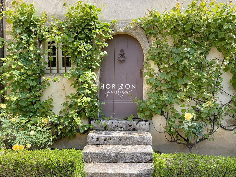 Château - 1 500 m² - 20 pièces