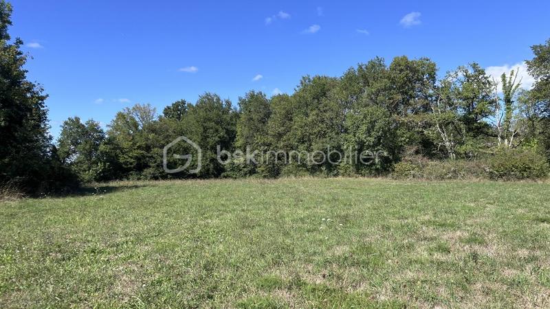 Terrain - 4 618 m²