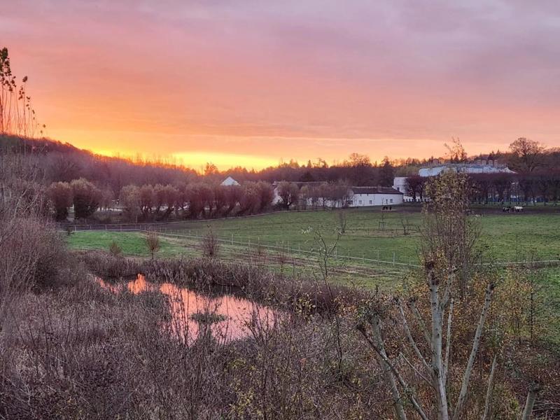 Château - 161 m² - 7 pièces