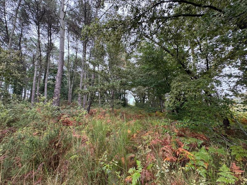 Terrain - 51 575 m²