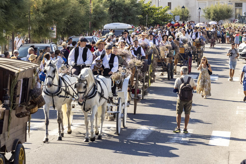 Fête de la saladelle