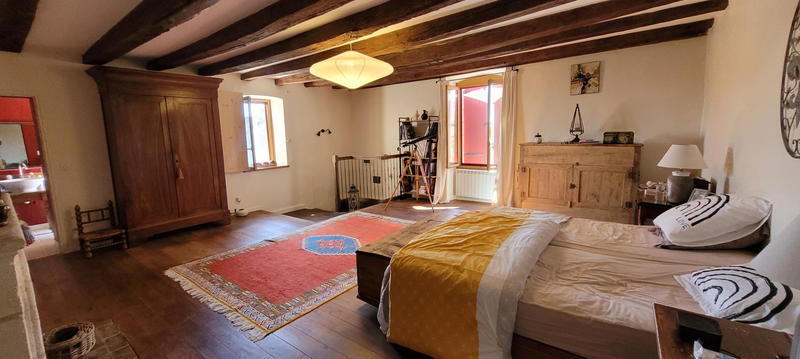 Viager - Maison - 515 m² - 17 pièces