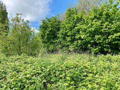 Terrain constructible - 1 295 m²