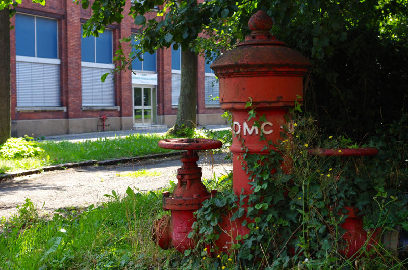 Visite guidée : la Cité d'hier à aujourd'hui