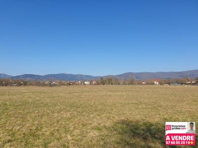 Terrain constructible - 1 423 m²