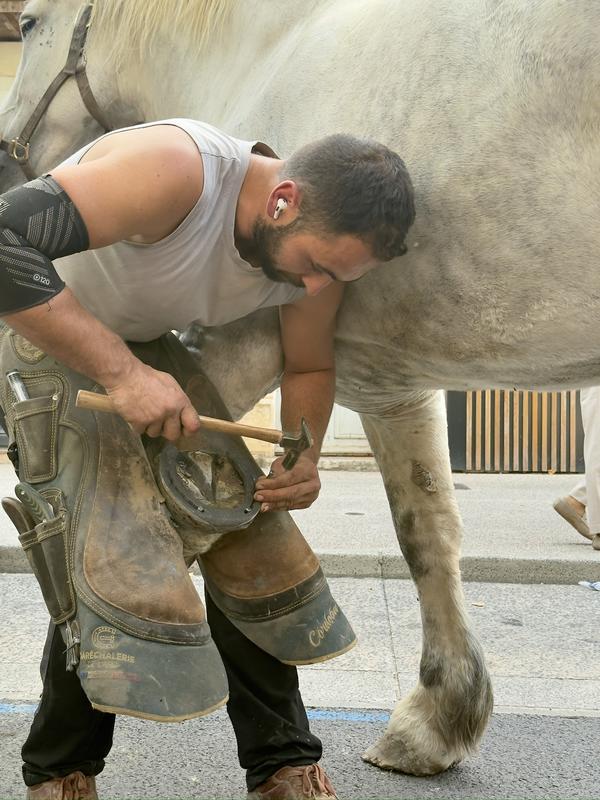 Foire agricole de la Saint-Michel