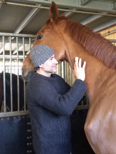 ostéopathe D.O, humain, équin, canin.