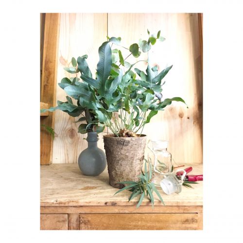 Les fleurs, c'est lui!!!