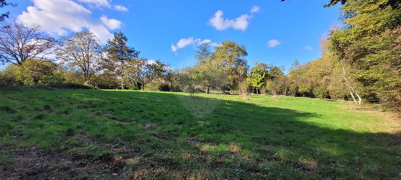 Maison - 195 m² - 7 pièces