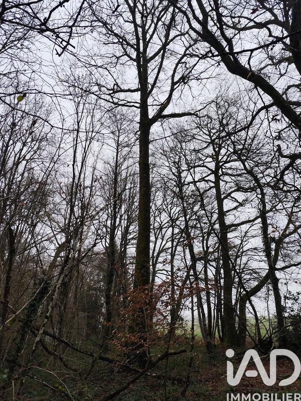 Terrain - 29 105 m²