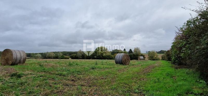 Terrain constructible - 1 032 m²